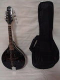 Black Acoustic Electric Mandolin Z66120