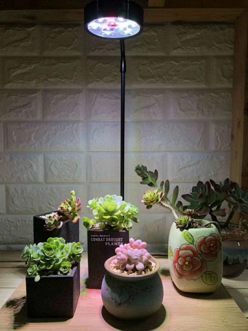 Full Spectrum LED Light with Bamboo Board 5W M6962