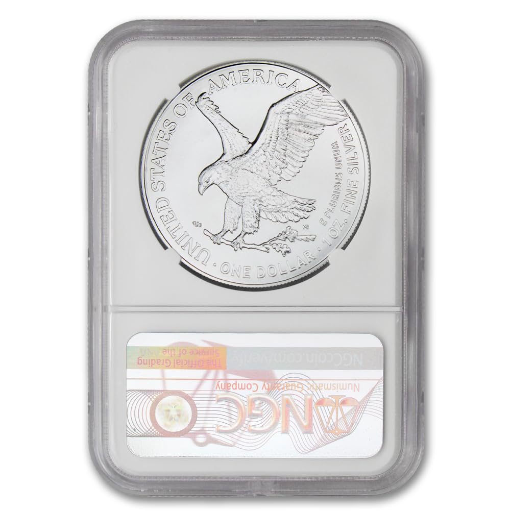 1 oz American Silver Eagle Coin E43346