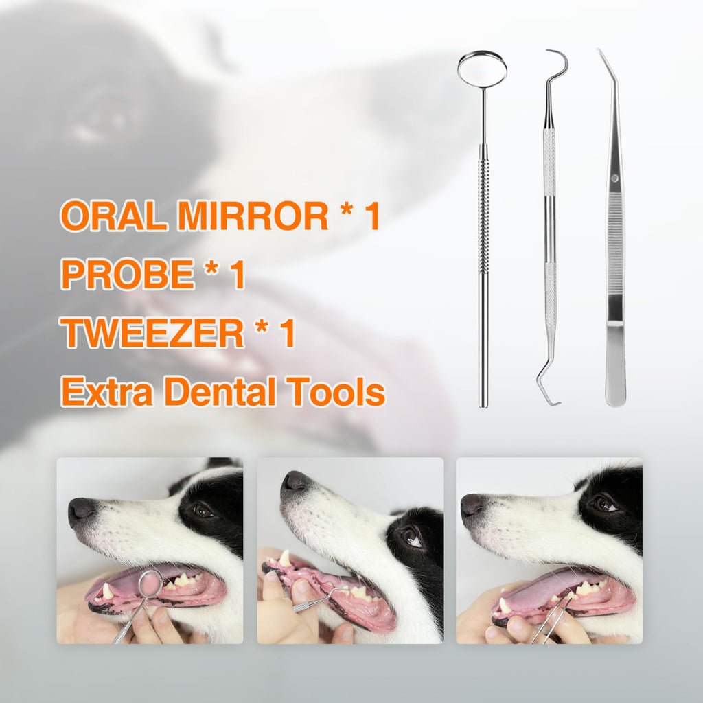 Ultrasonic Dog Plaque Remover with LED Light E5648