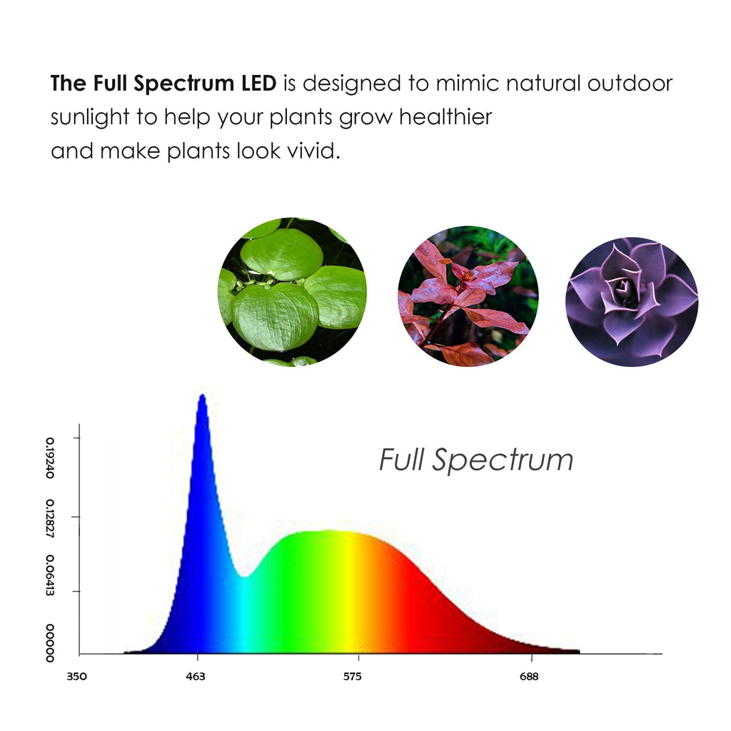 Full Spectrum LED Light with Bamboo Board 5W M6962