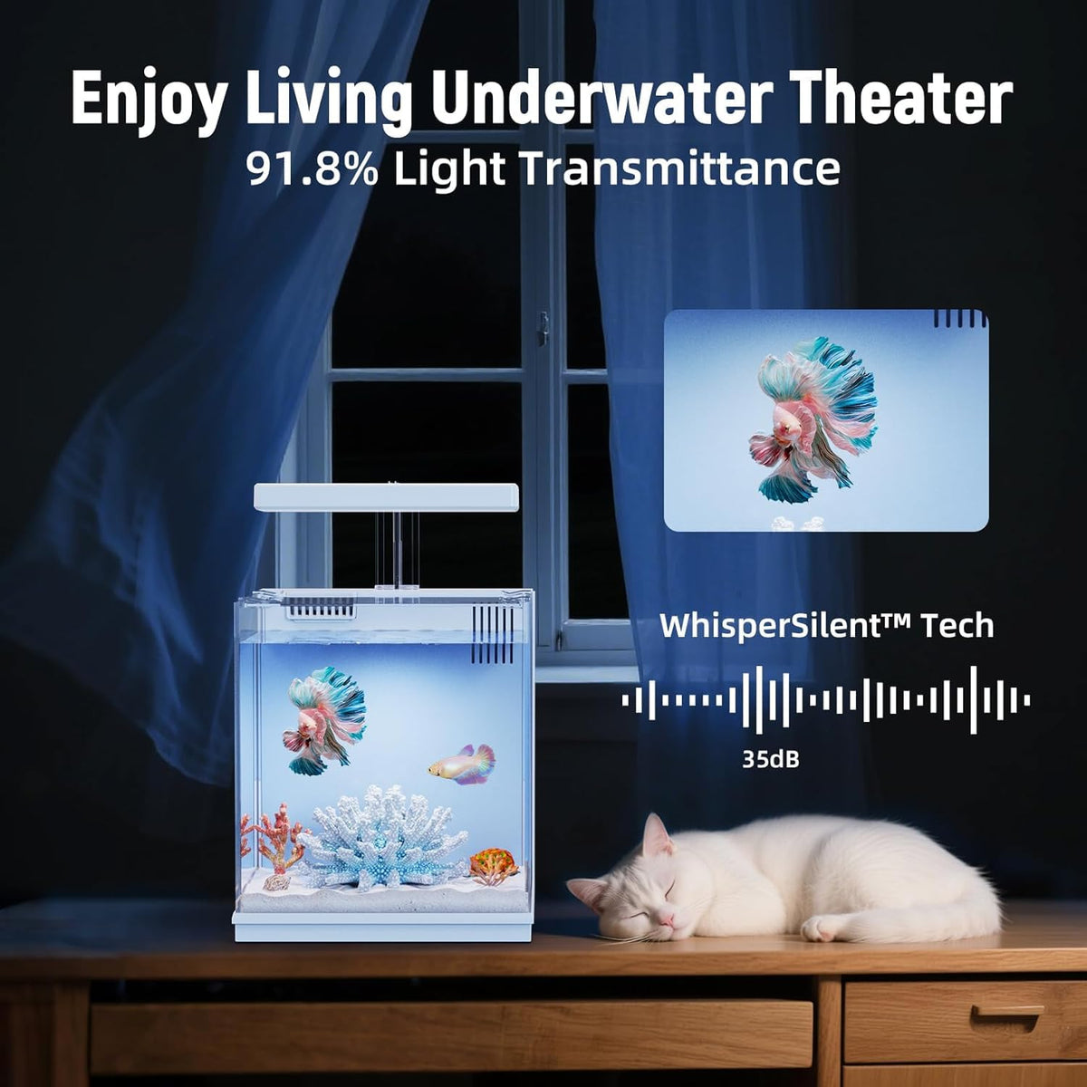 2 Gallon Aquarium Kit with Filtration & LED Light P941