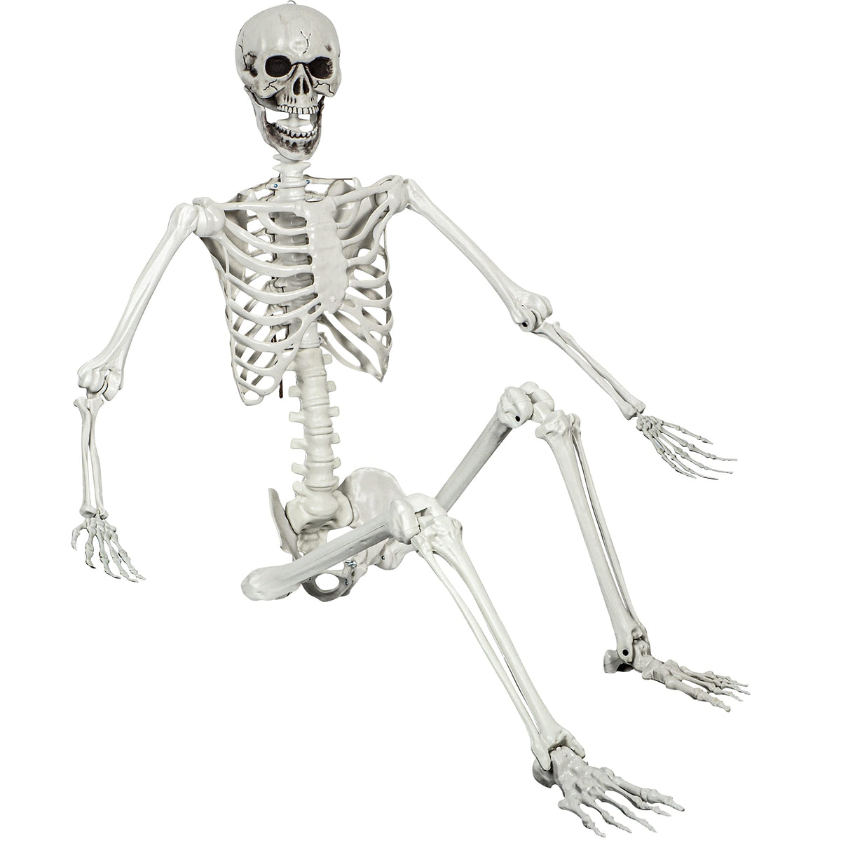 5.4ft Posable Life Size Skeleton with Movable Joints E1875