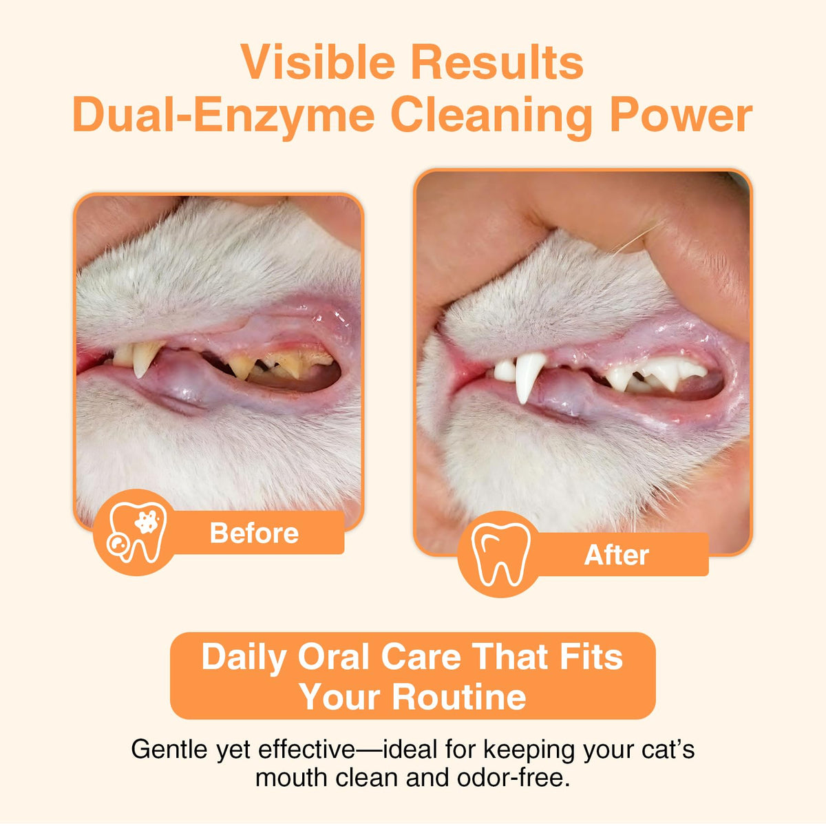 Roast Chicken Flavor Enzymatic Cat Toothpaste Kit with Toothbrush & Finger Brush, 1.06 oz D84541