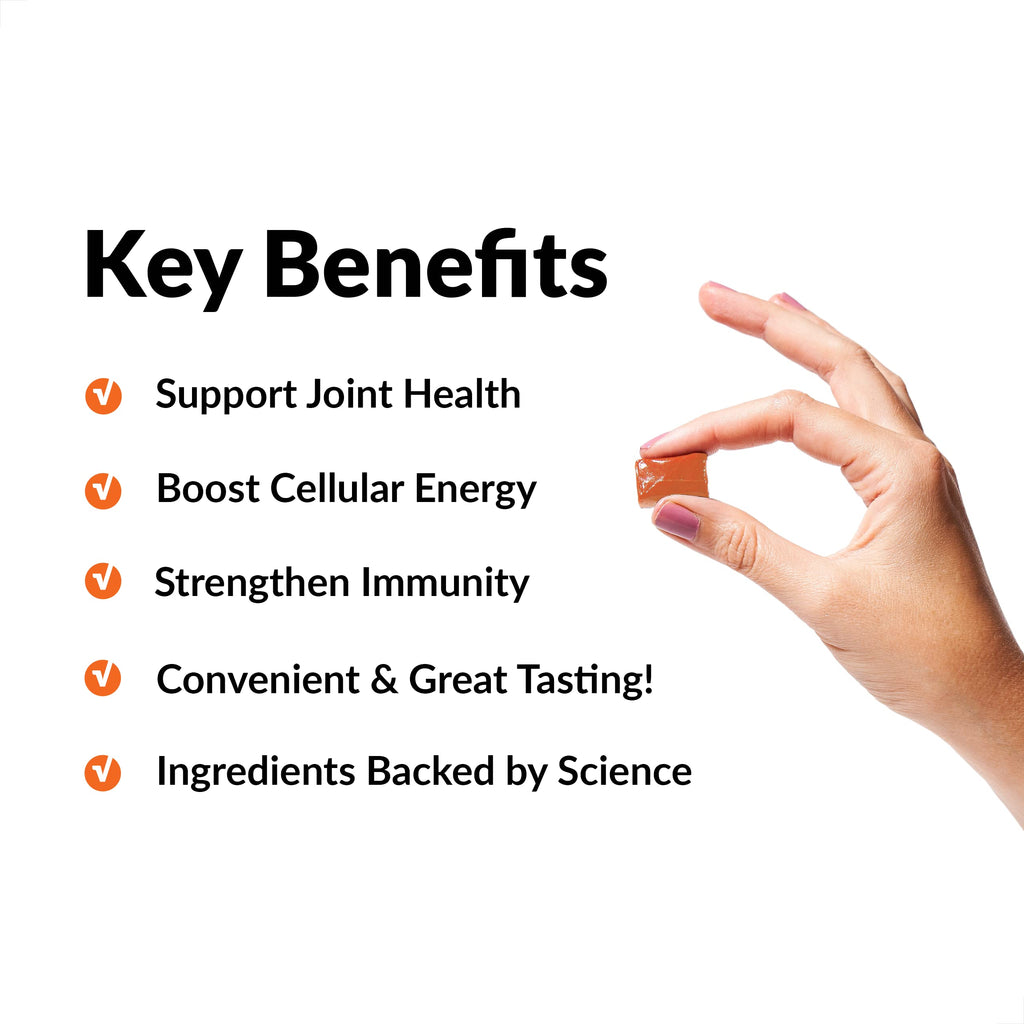 Turmeric Joint Support Supplement & Superfood Chews V67299
