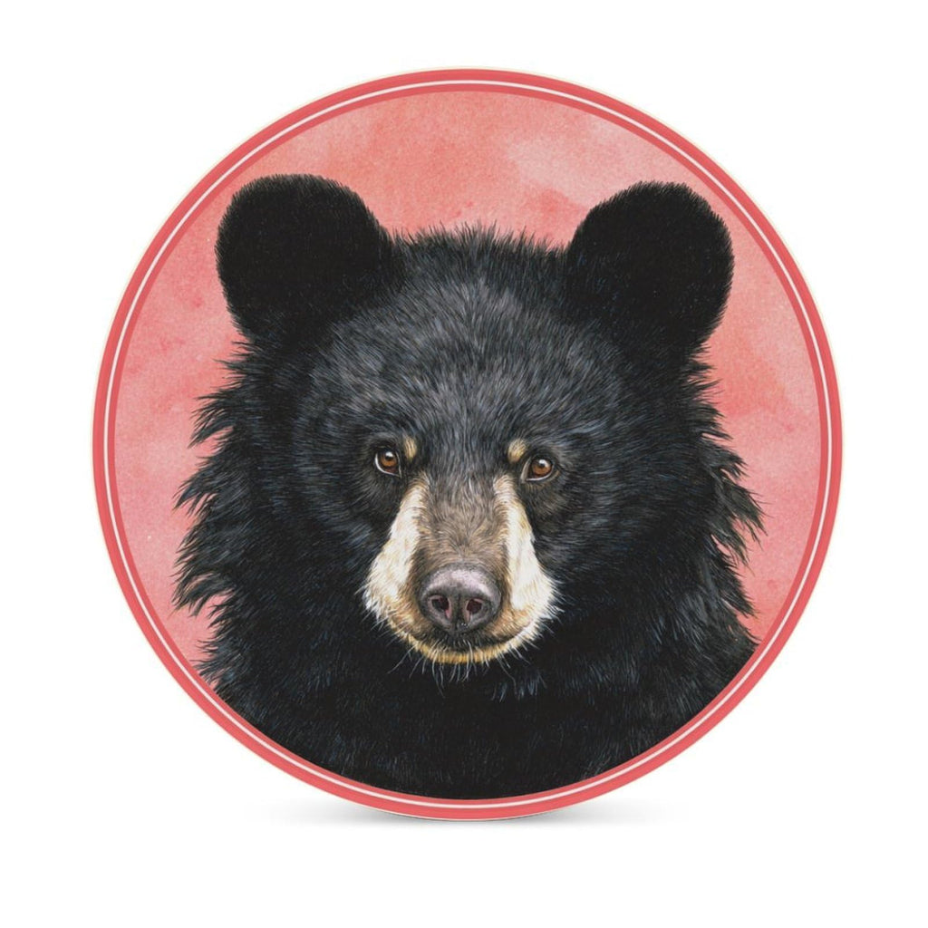 Black Bear Coasters Set of 4 S769