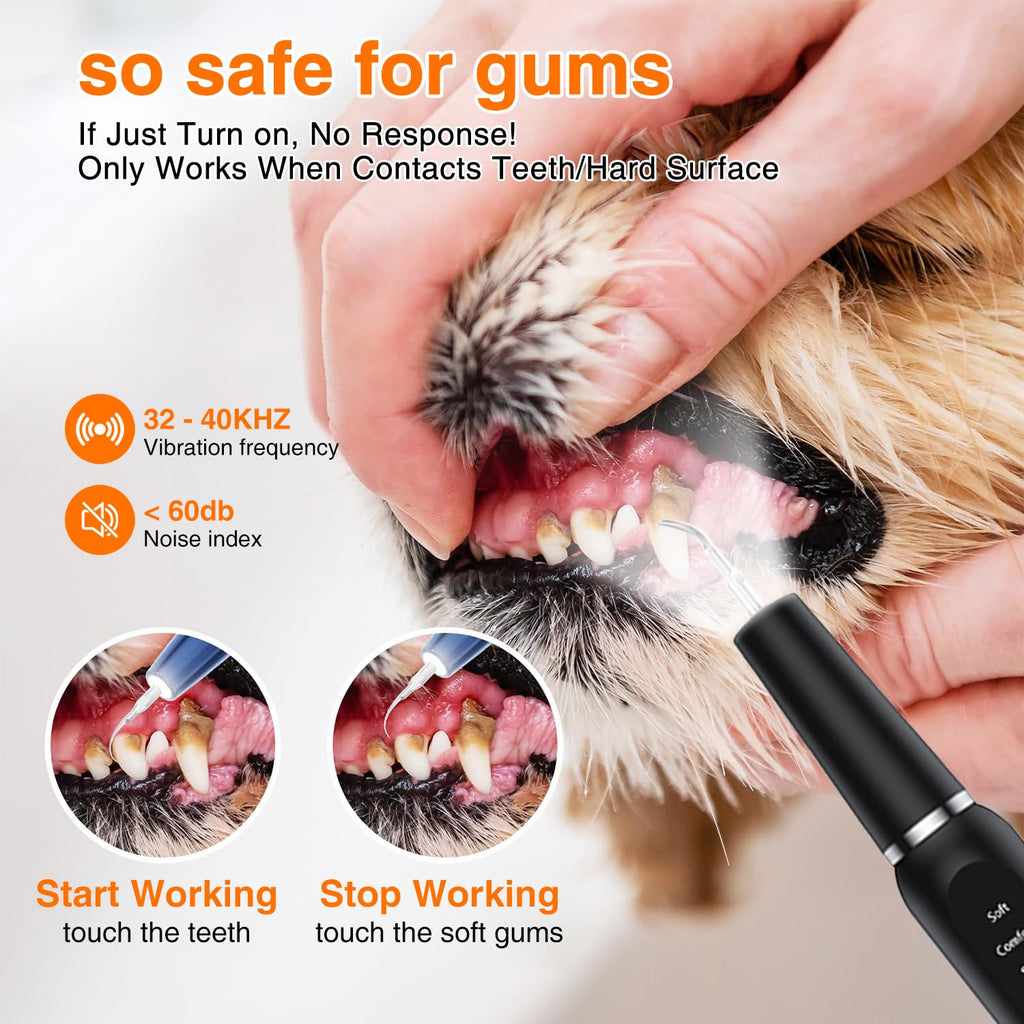 Ultrasonic Dog Plaque Remover with LED Light E5648