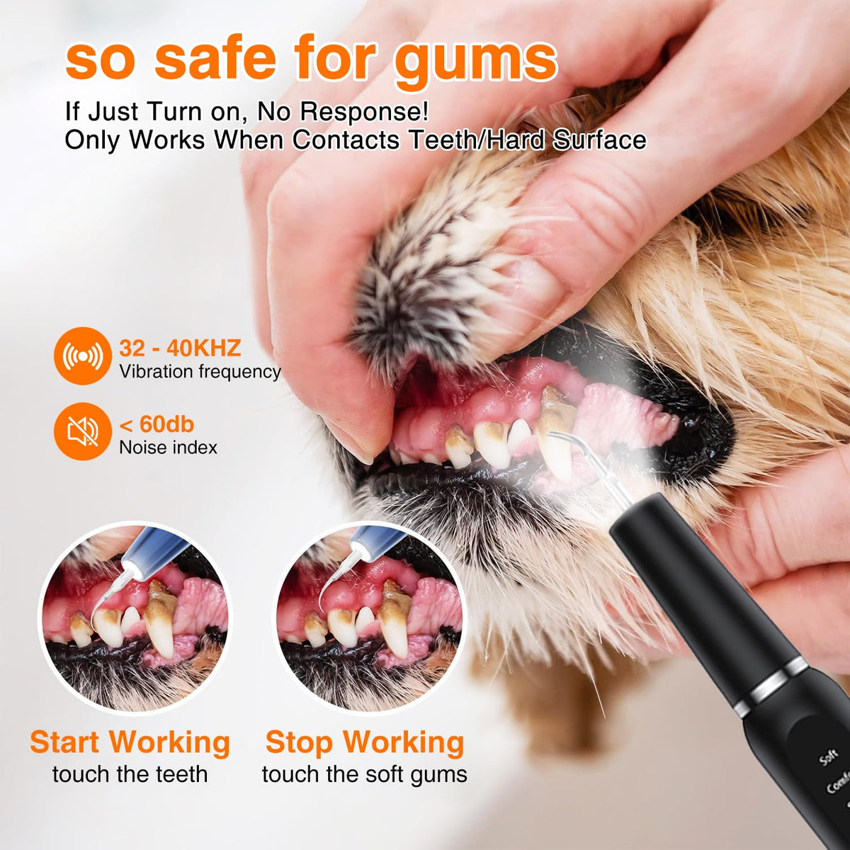 Ultrasonic Dog Plaque Remover with LED Light E5648