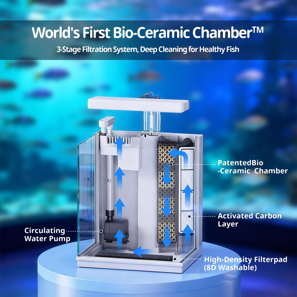 2 Gallon Aquarium Kit with Filtration & LED Light P941