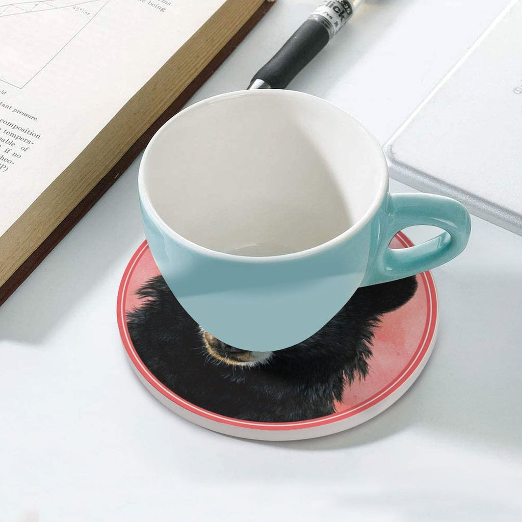 Black Bear Coasters Set of 4 S769