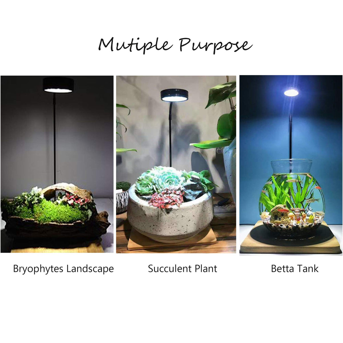 Full Spectrum LED Light with Bamboo Board 5W M6962