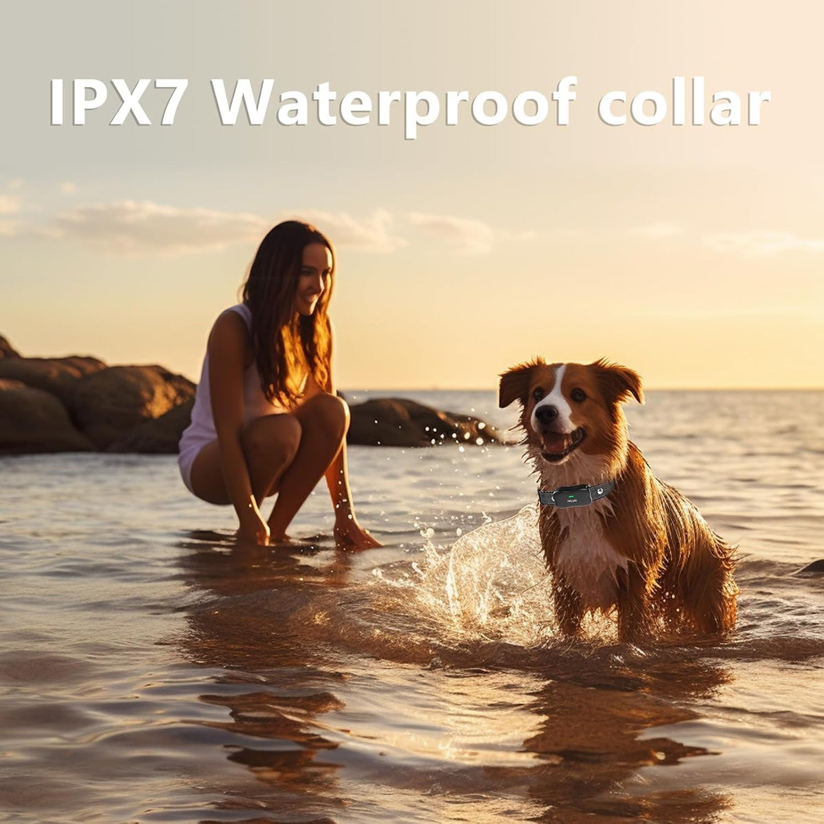 Wireless Dog Fence & Training Collar for 2 Dogs, IPX7 Waterproof, Black V82424