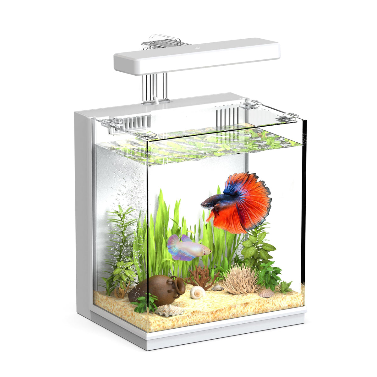 2 Gallon Aquarium Kit with Filtration & LED Light P941