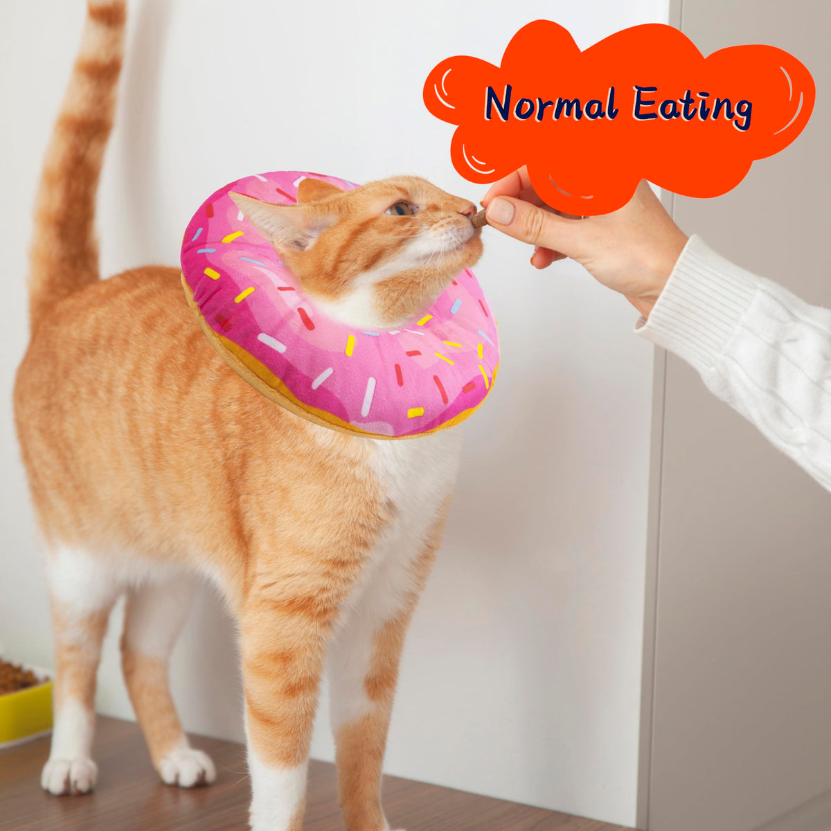 Adjustable Soft Cat Recovery Cone Collar R7188