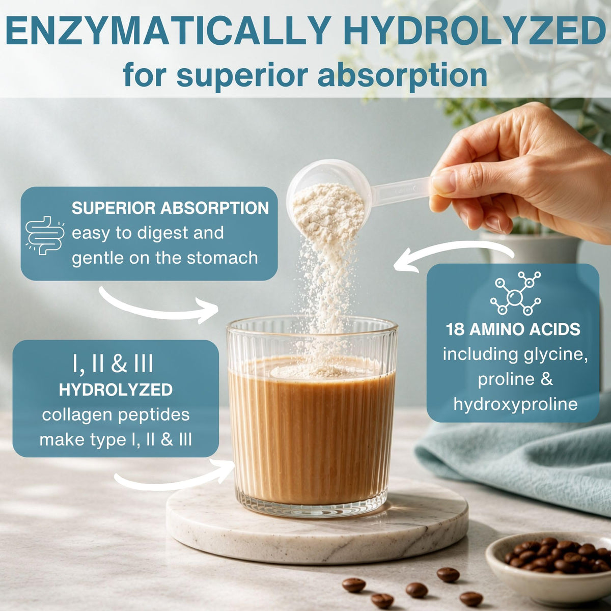 Hydrolyzed Bovine Collagen Peptides G37903