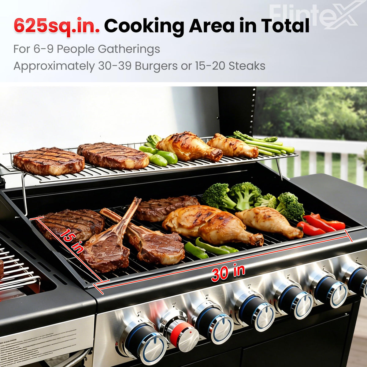 6-Burner Propane Gas Grill with Cast Iron Grates & Griddle, 54,600 BTU, Black W4216