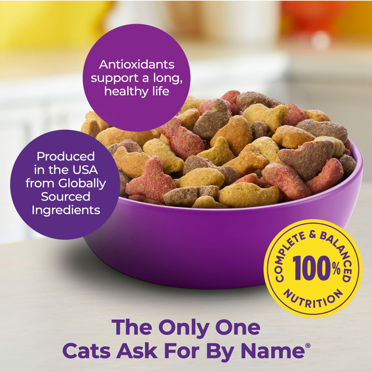 Dry Cat Food 6.3 Pound Bag + Wet Cat Food Variety Pack 2.75 Ounce Cups (Pack of 24) G84890
