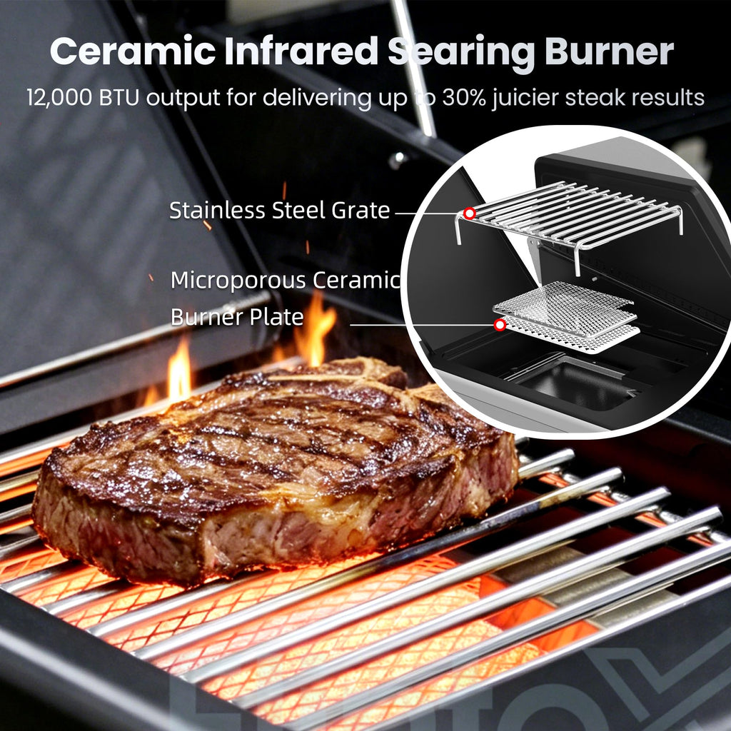 6-Burner Propane Gas Grill with Cast Iron Grates & Griddle, 54,600 BTU, Black W4216