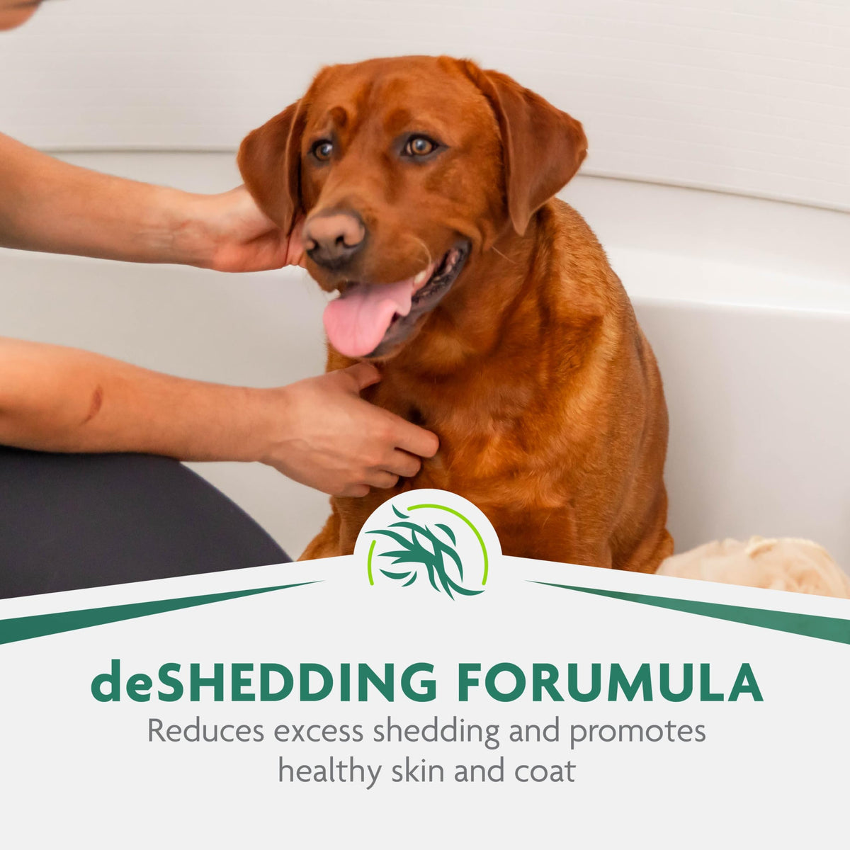 16 oz Dog deShedding Shampoo A522