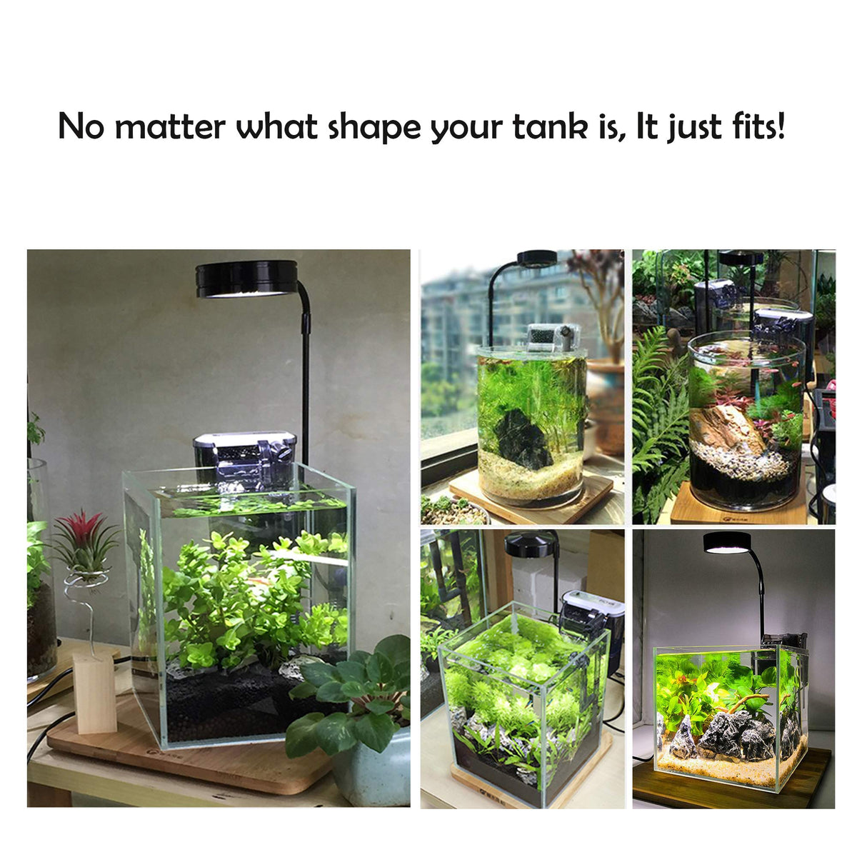 Full Spectrum LED Light with Bamboo Board 5W M6962